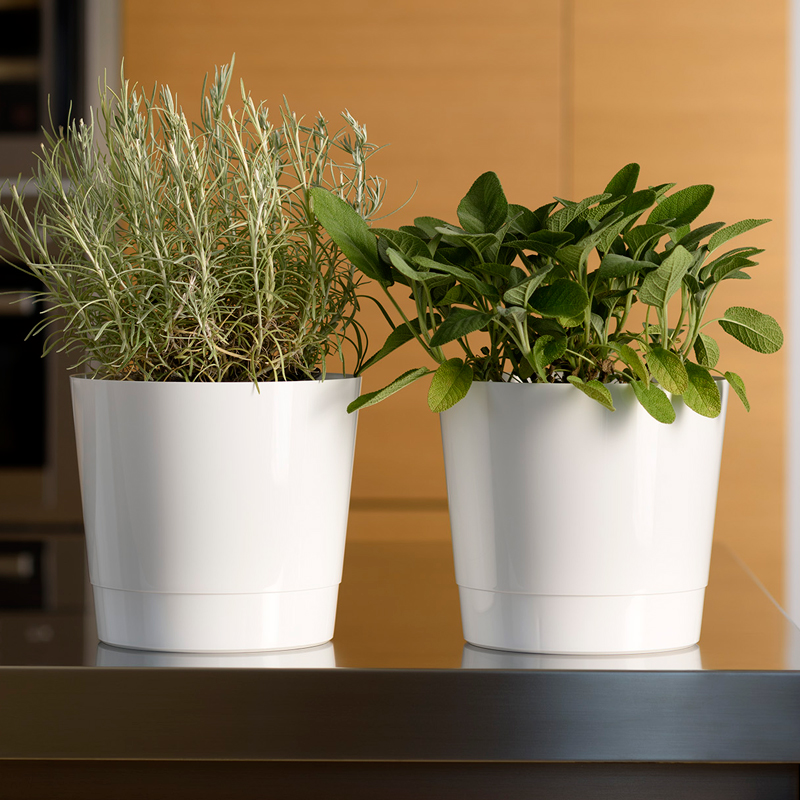 Blumenkübel Mey als Übertopf für Kräuter