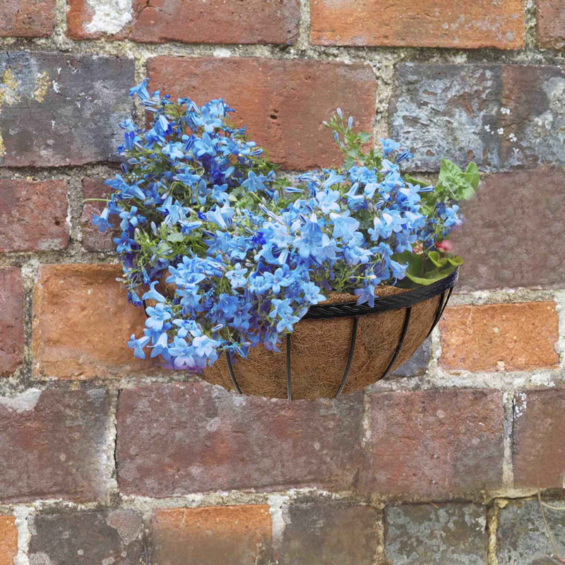 Wandtopf Wall Manager mit Bepflanzung